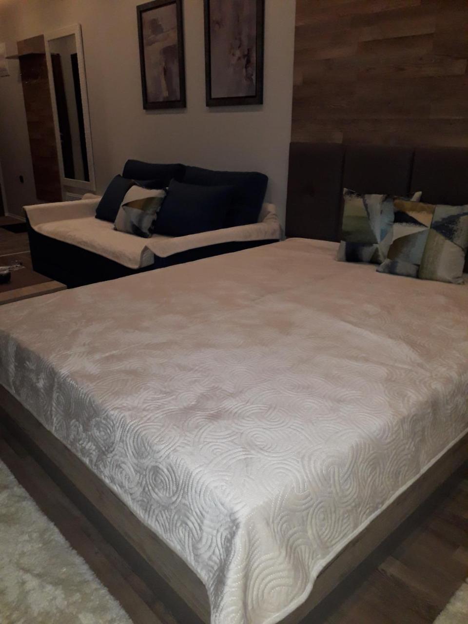 Apartman Lux Premier 09 קופאוניק מראה חיצוני תמונה