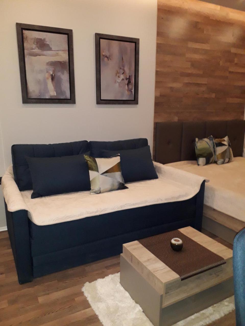 Apartman Lux Premier 09 קופאוניק מראה חיצוני תמונה