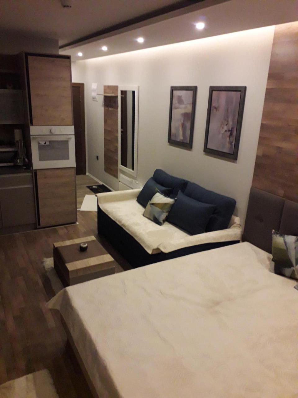 Apartman Lux Premier 09 קופאוניק מראה חיצוני תמונה